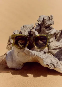 D-Frame Sunglasses